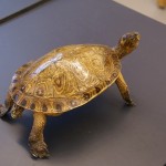 turtle-281079_640